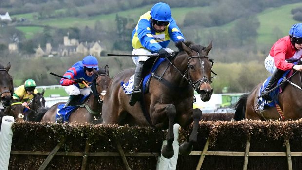 Harry Skelton and Langer Dan en-route to 2024 Coral Cup victory