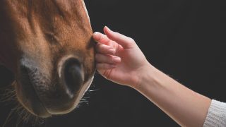 why welfare over rights is a more useful focus