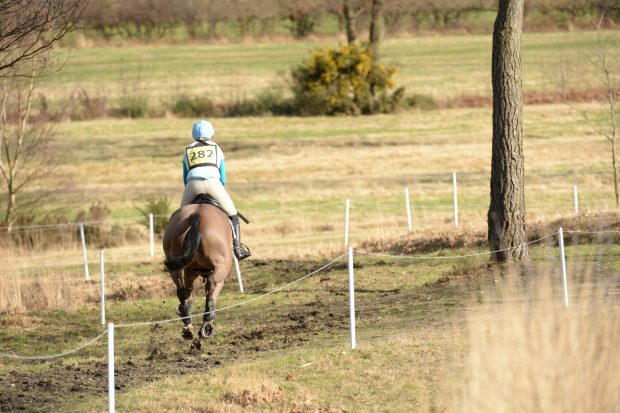 Tweseldown (pictured) is stepping up to host a replacement eventing fixture, following the abandonment of Cirencester Park (1).