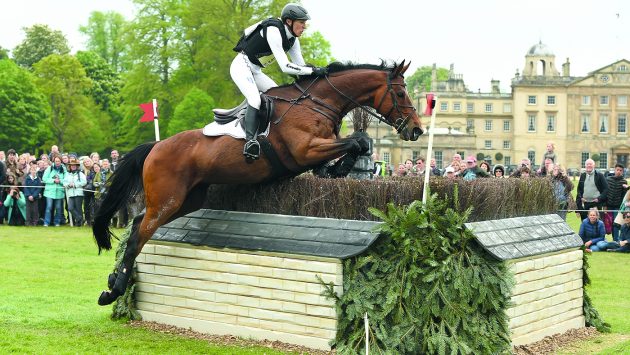 horses’ instincts, saddles and cooling down