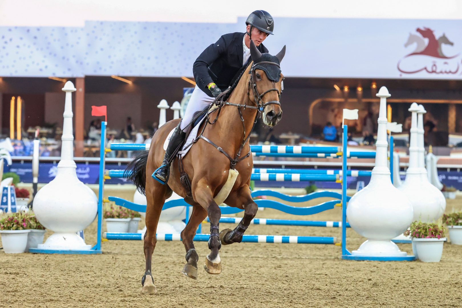 A major equestrian brand goes on the market, and other things the horse