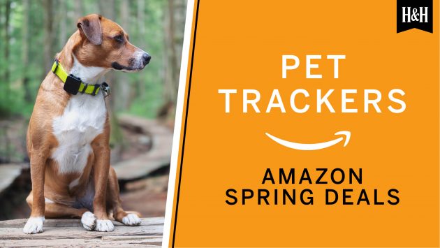 Puppy tracker offers within the Amazon Spring Offers tournament