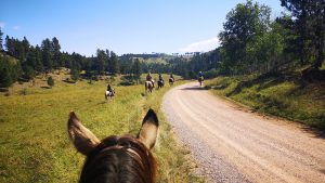 Ranch experience holiday in Wyoming