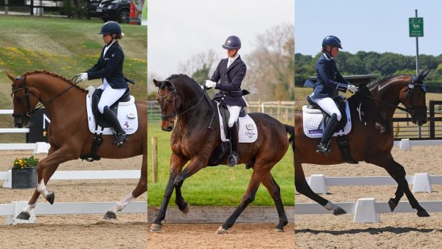 winter dressage championships 2024