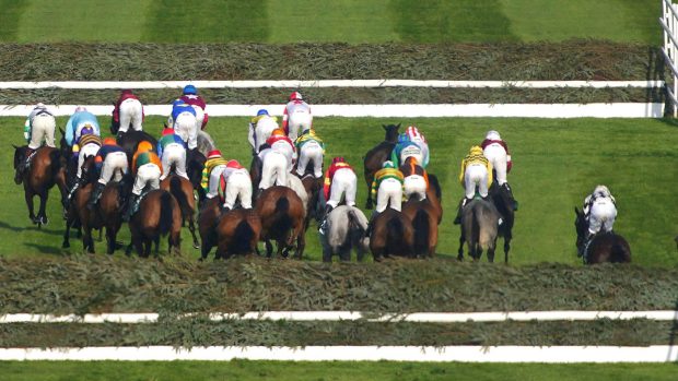 Grand National sweepstake