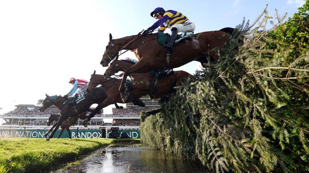 Grand National sweepstake