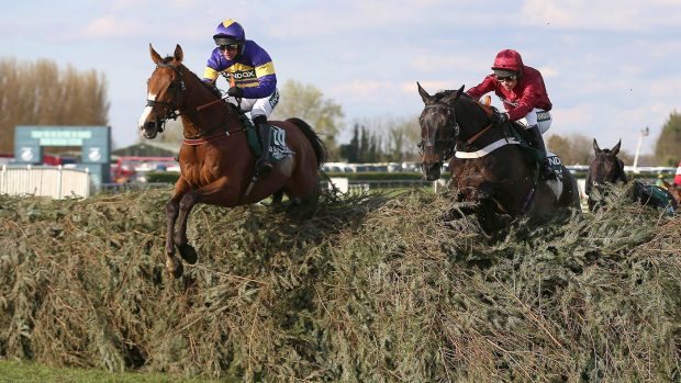 2024 Grand National tips: can Corach Rambler win back-to-back Grand Nationals?
