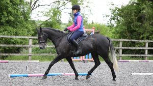 A rider schooling their horse in an outdoor arena