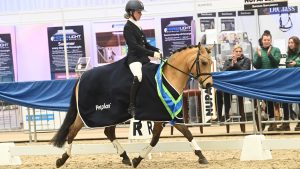 Caramelle, novice under-21 winner with Lydia Jones at the Petplan Area Festival Championships 2024