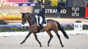 Benjamin Werndl and Famoso OLD pictured at the 2022 World Championships in Herning.