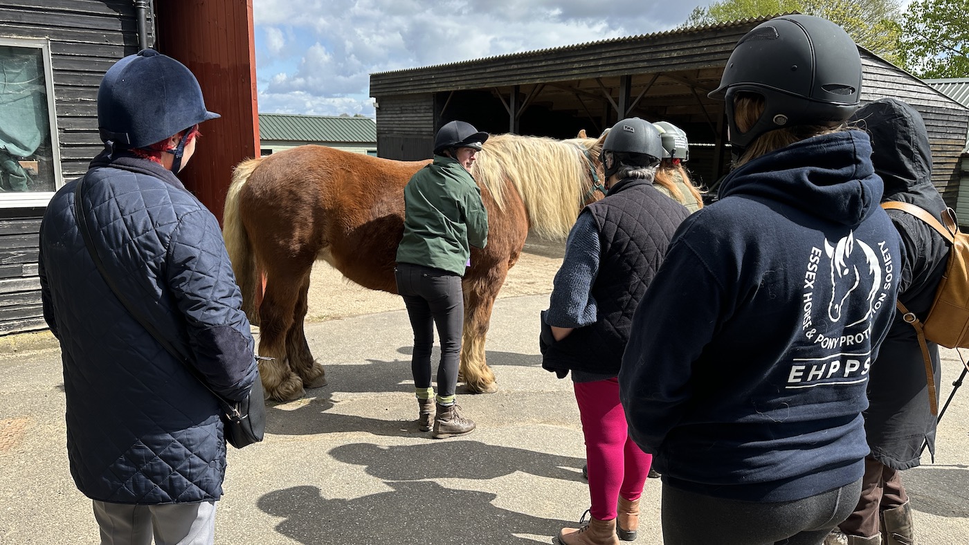 Satisfied, wholesome horses the purpose of ‘eye-opening’ coaching to lend a hand struggle equine weight problems