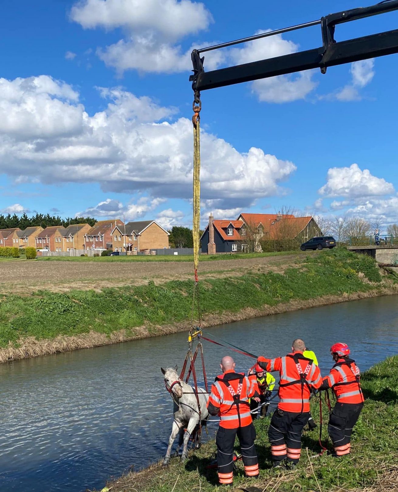 ‘I heard a massive splash’: horse falls into river after rider unseated ...