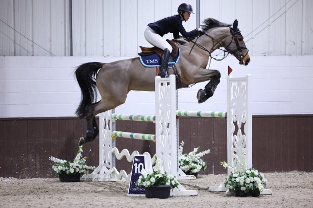 Rising star: Tallulah Mackenzie Smith and Nistria VD Winning Z have made a remarkable comeback