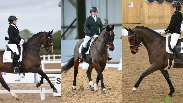 Winter Dressage Championships 2024