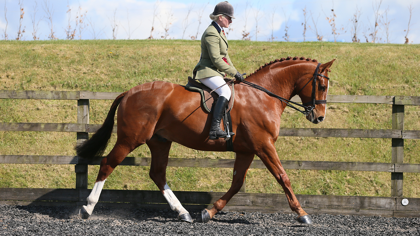 Meet Royal Windsor hack pass judgement on Zara Owen