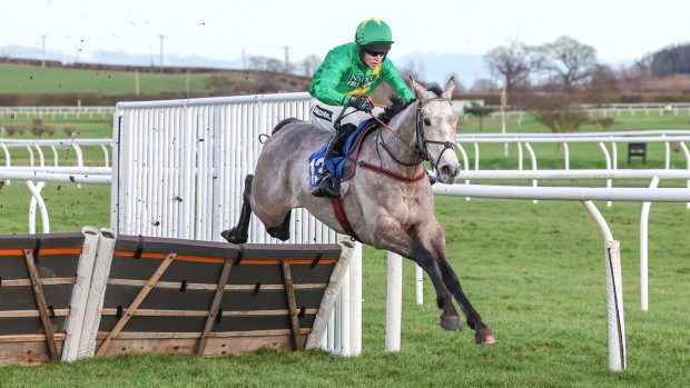 Patrick Wadge winning on yard favourite Traprain Law