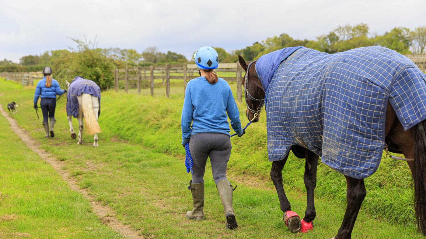 Tackling beside the point horse coaching at domestic – trade begins this essential dialog