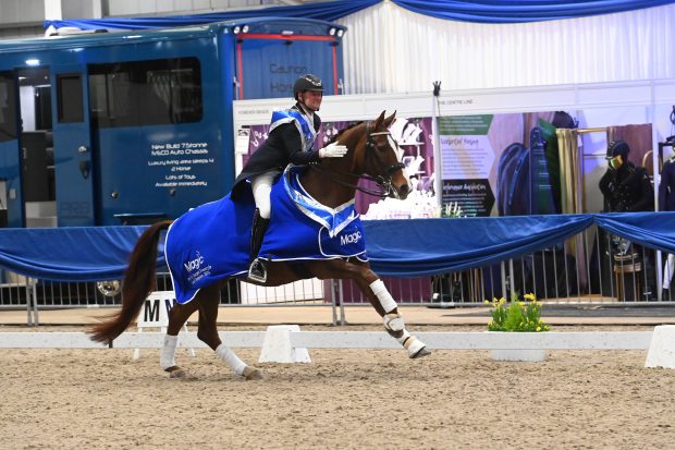 2024 Winter Dressage Championships