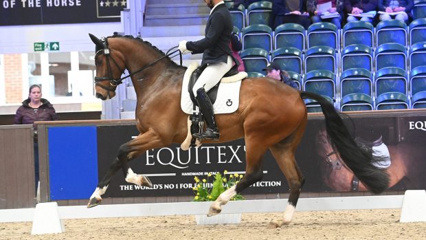 Dannie Morgan and Fever Tree at the 2024 NAF Five Star Winter Dressage Championships.