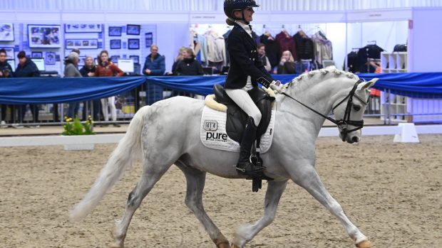Violet Hawkins and Glenlichd Fair Un Square at Winter Dressage Championships 2024