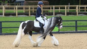 Cob Marley competing at the Area Festival Championships at Addington