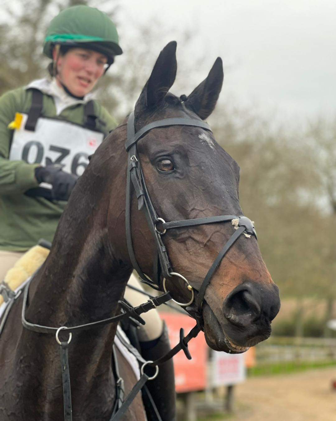 Al Boum Picture thriving in new occupation