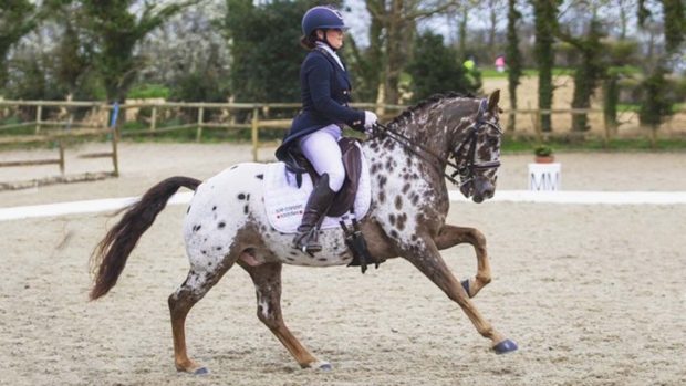 2024 Winter Area Festival Championships