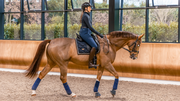 Ridesum’s AI Horse Analytics acts as a ‘high-tech mirror’ to help riders better understand horses’ head and neck positions during training.