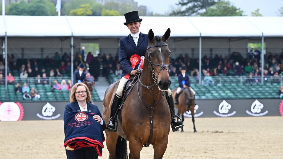 A guide to horse working hunter classes Horse & Hound