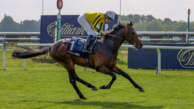 Tim Gredley's family-owned Ambiente Friendly lines up for the Epsom Derby as second favourite behind the Aidan O'Brien-trained City Of Troy.