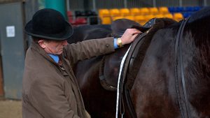 A steward using a tape measure to check the length of the stirrup before a judge assesses a horse from the saddle.