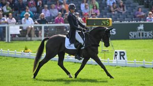 Boyd Martin (USA) riding Tsetserleg TSF at MARS Badminton Horse Trials 2024