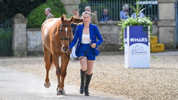 Cosby Green and Copper Beach at the Badminton trot-up 2024