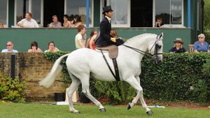 Overdrive and Georgina Andrews won the RIHS five times during their partnership.