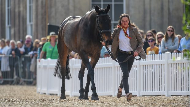 Nicky Hill and MGH Bingo Boy: Badminton Horse Trials final trot-up