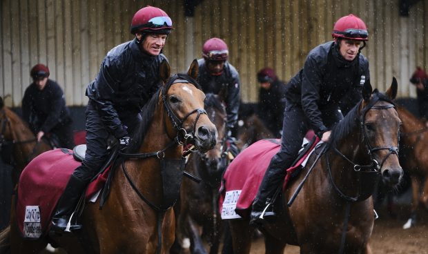 City Of Troy, ridden by Dean Gallagher, preparing for this year's Epsom Derby.