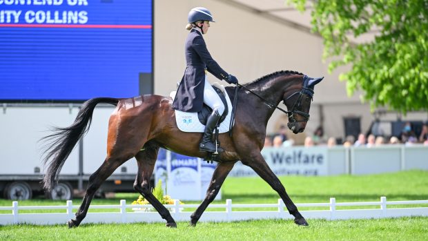 Felicity Collins riding RSH Contend OR during the dressage phase of the 2024 Mars Badminton Horse Trials.
