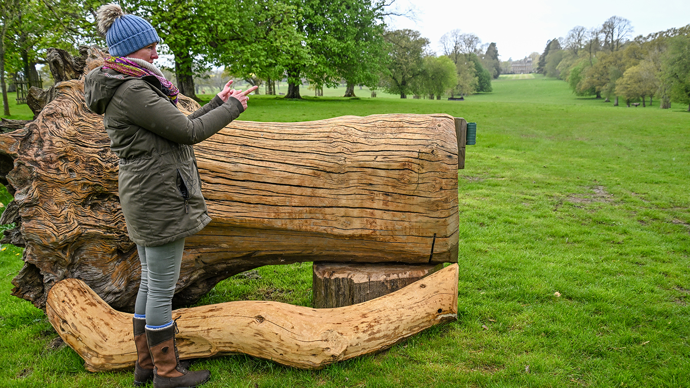 Badminton Horse Trials cross-country course: fence 18