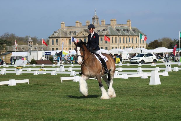 Hovis’ Friday diary