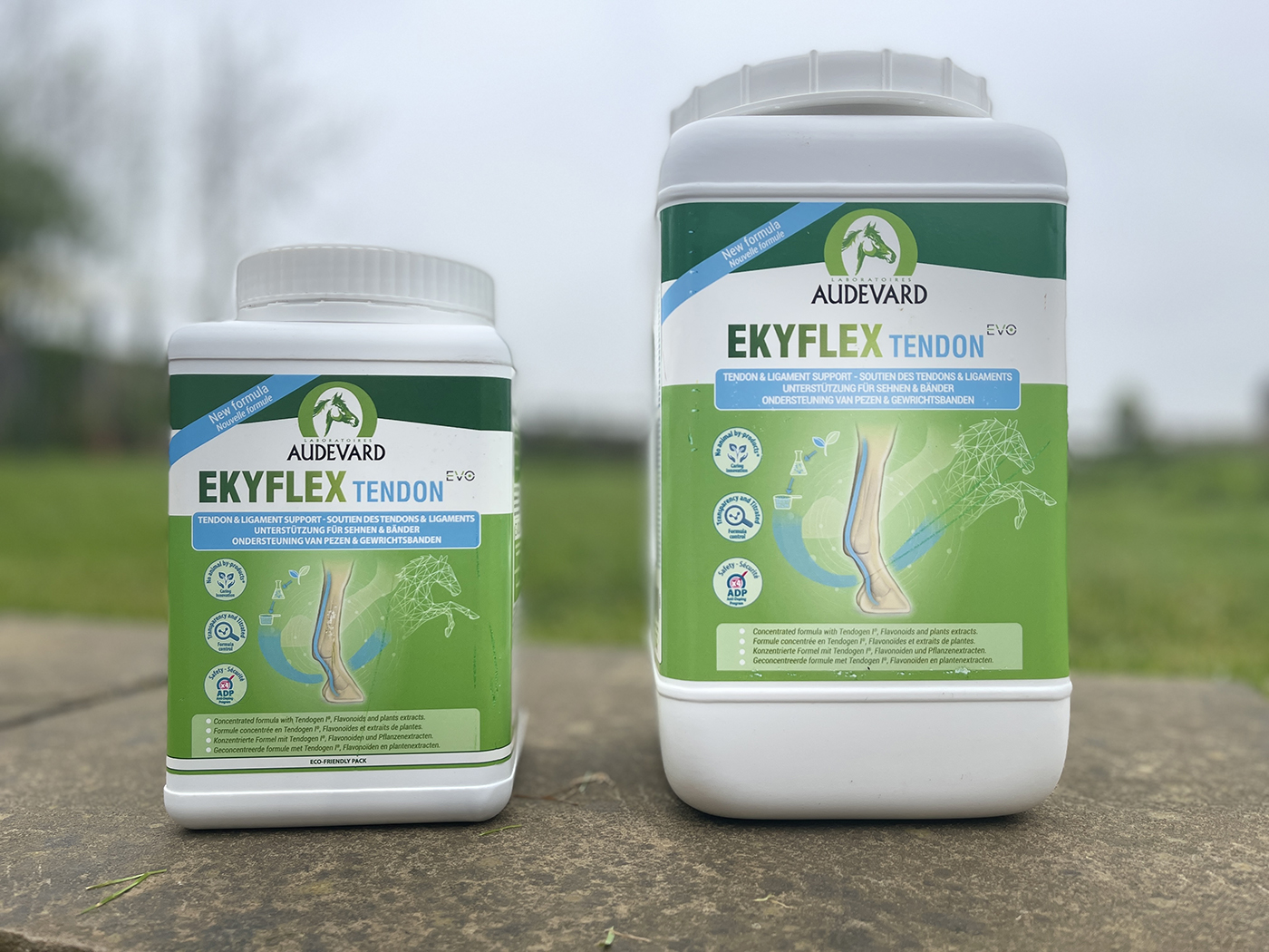 Audevard tendon supplement