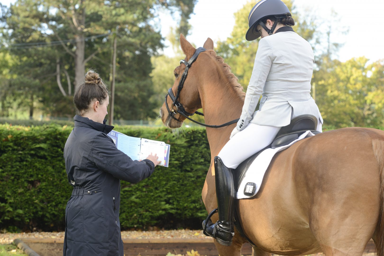 How and why to ride a give and retake of the reins - Horse & Hound