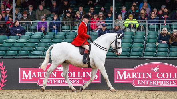 2024 Royal Windsor cob championship