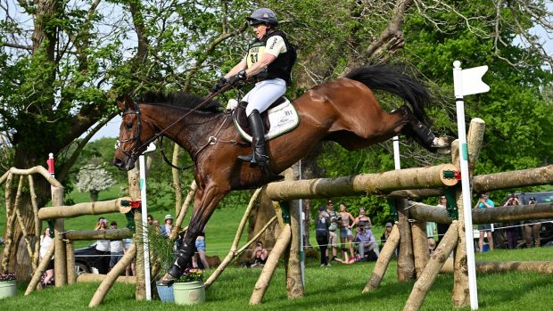 Badminton Horse Trials special prizes: MCS Maverick, whose grooms won the grooms’ award