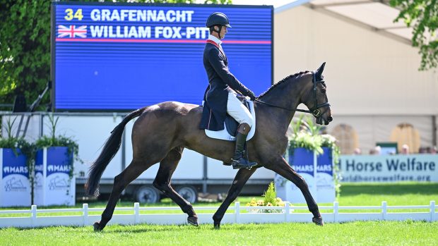 William Fox-Pitt riding Grafennacht at Mars Badminto Horse Trials 2024 in the dressage phase.