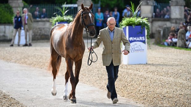 Badminton Horse Trials trot-up