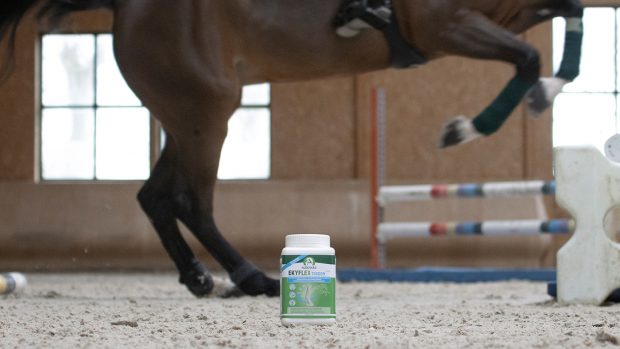 Audevard tendon supplement