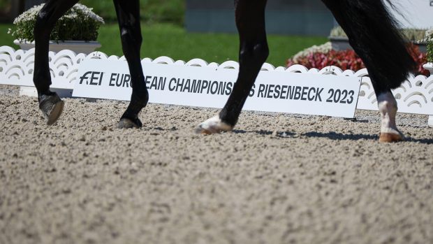 A dressage horse's legs in front of white boards at the European Championships 2023