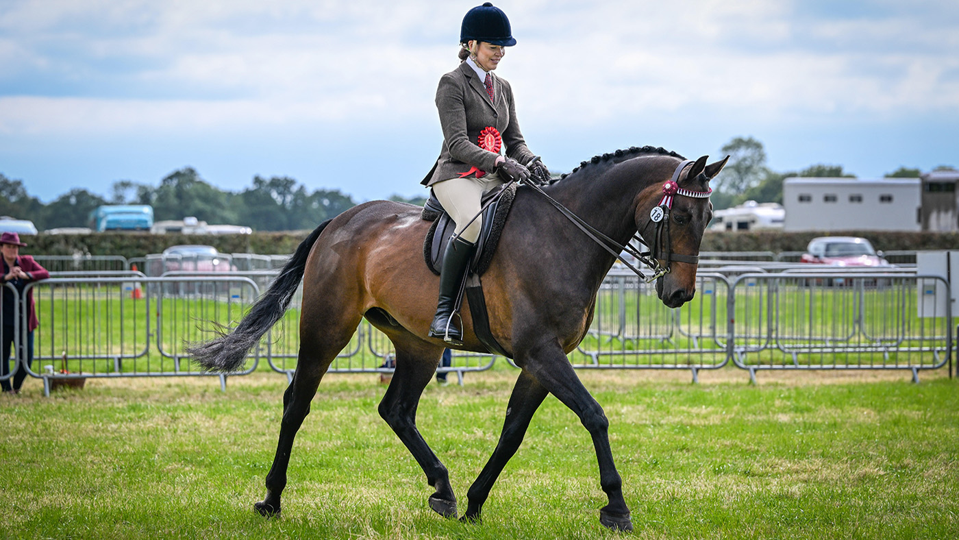 Dressage horse Belion qualifies for HOYS and London