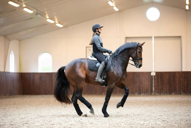 Pictured Cathrine Laudrup-Dufour and Mount St John Freestyle.