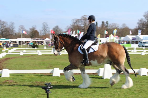 Hovis’ Friday diary